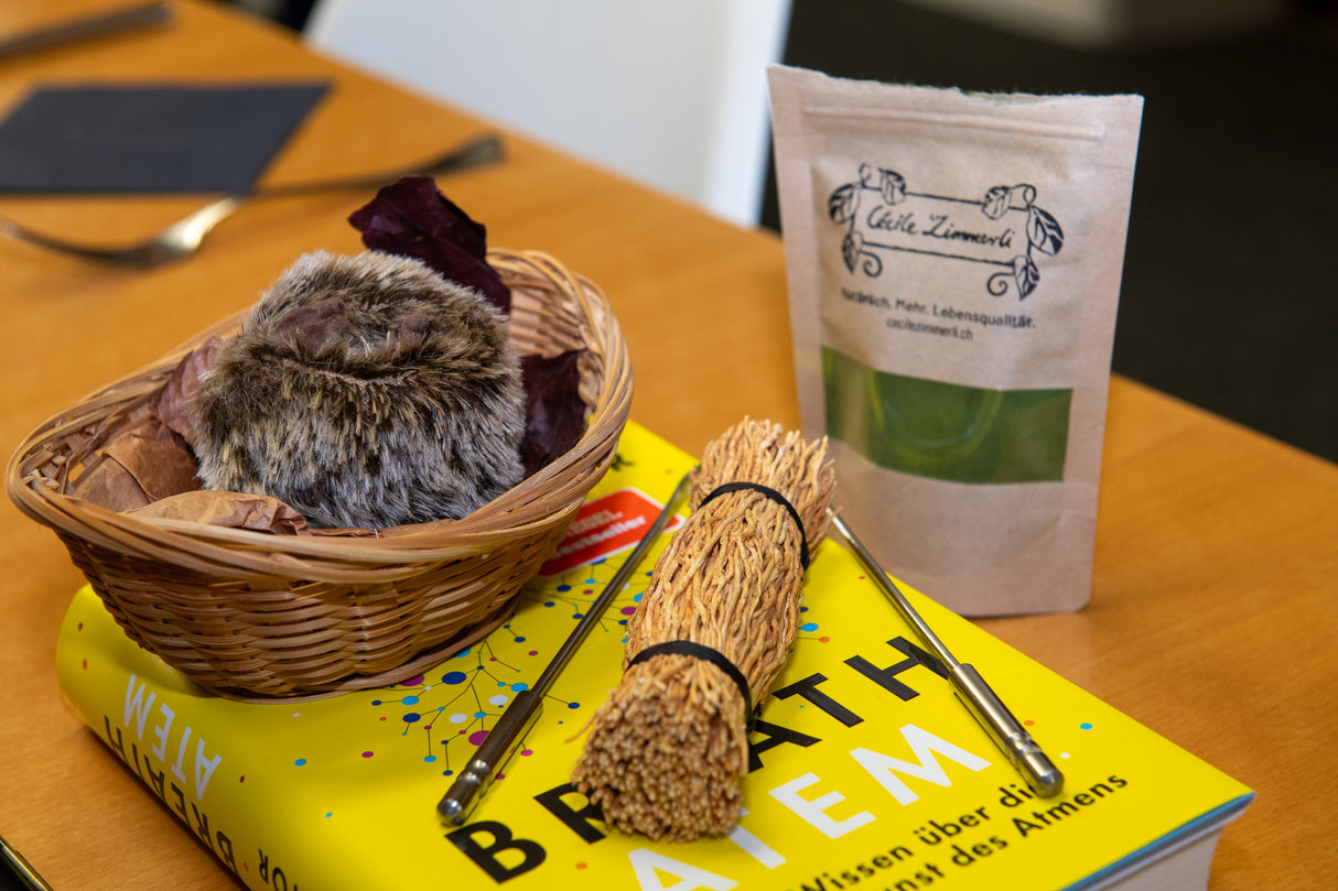 Workshop, Samstag 07.03.2026