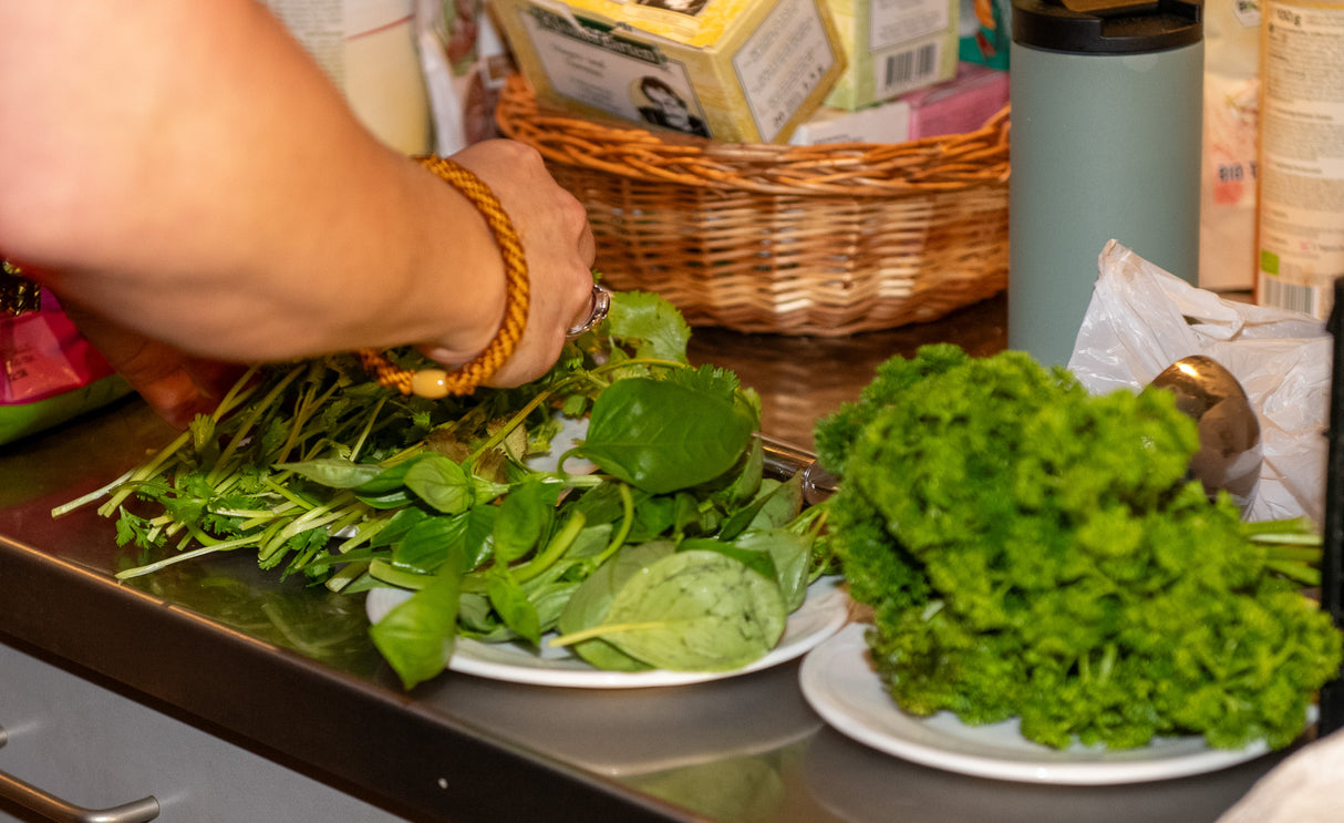 Workshop, Samstag 07.03.2026