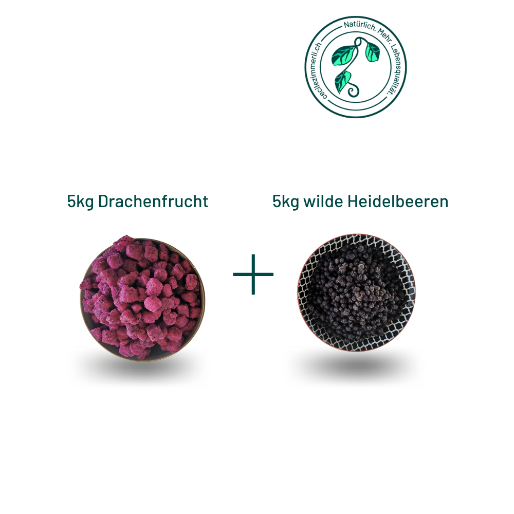Rote Drachenfrucht gewürfelt und wilde Heidelbeeren vaccinium angustifolium – tiefgefroren, 10 kg