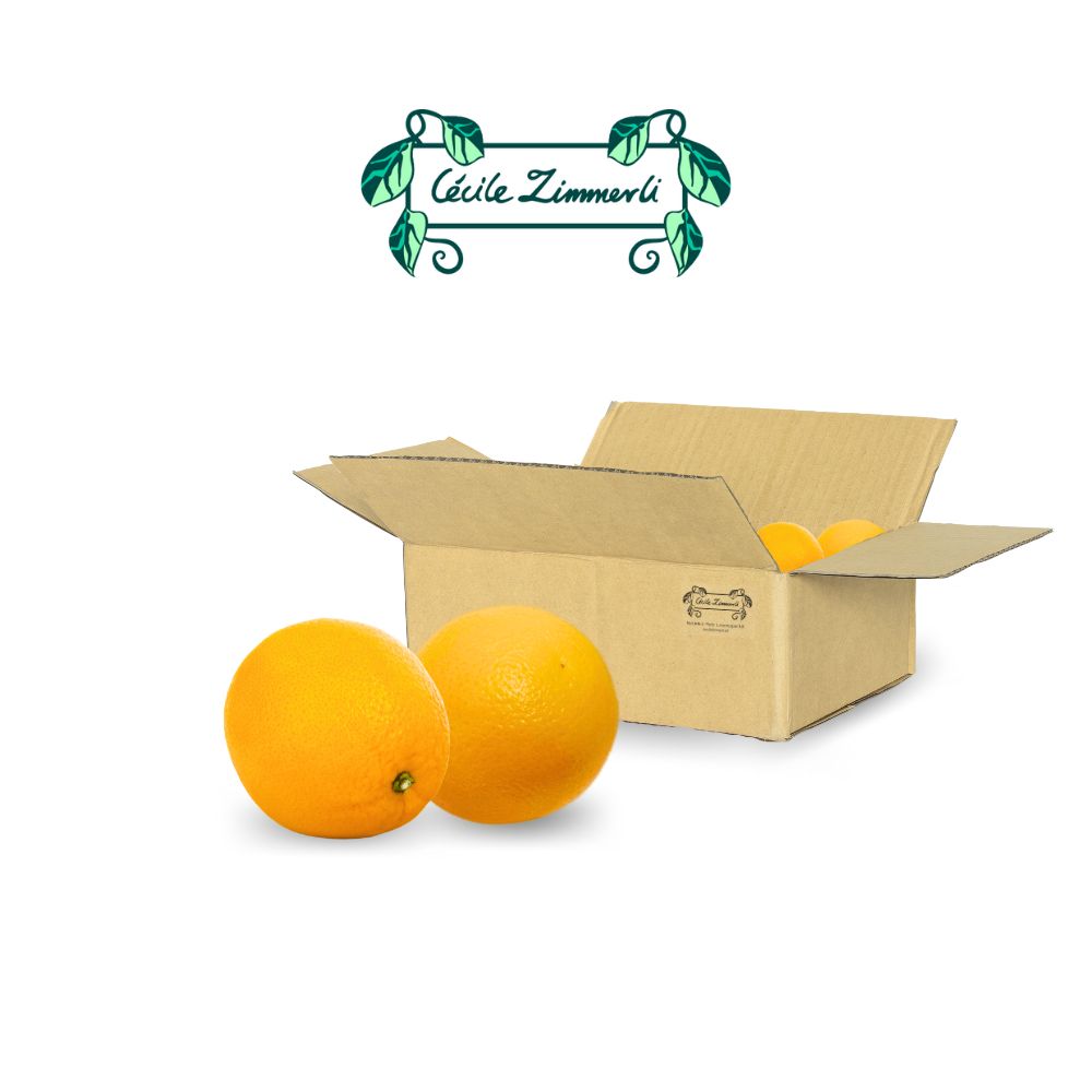 Orangen «LEBENSQUALITÄT» (Einzellieferung) 6/9 kg