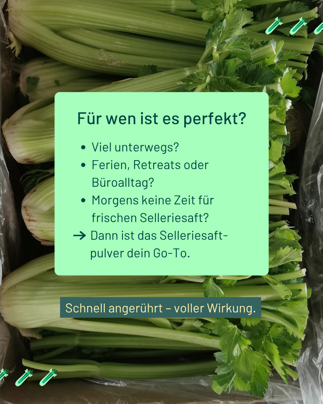 Stangensellerie Saft Pulver "Premium Qualität", 50g - hergestellt in der Schweiz