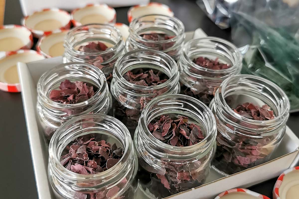 Geruchs- und Geschmackssinn stärken – Dein Praxis-Webinar am Montag, 17. November 2025