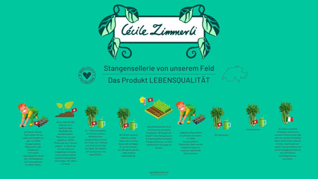 Unser Sellerie Lebensqualität – ein Blick hinter die Kulissen unseres Anbauplans