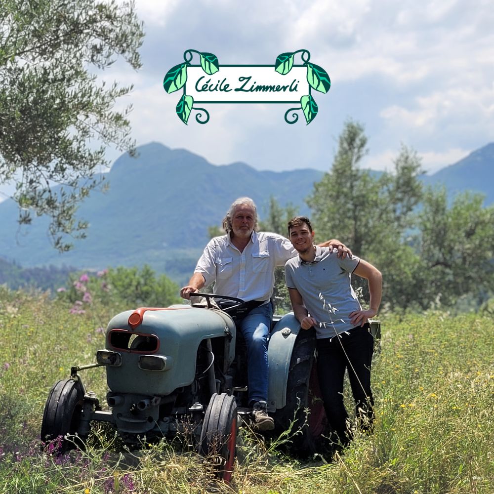 Olivenöl – 100 % Rückverfolgbarkeit bis zum Baum