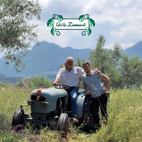 Olivenöl – 100 % Rückverfolgbarkeit bis zum Baum