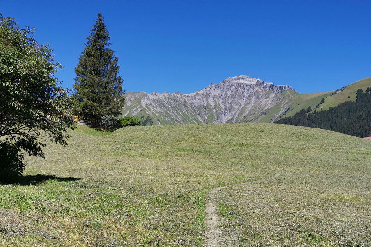 Die Kraft der Stille – Meine Erfahrungen mit Stille-Retreats und warum sie so heilsam sind