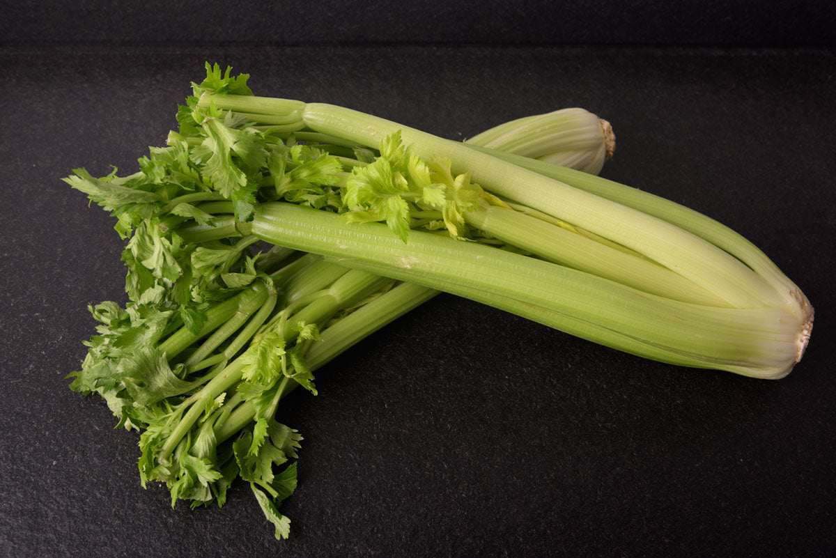 Welche Selleriequalität passt zu dir? Dein Vergleich zwischen Bio „Lebensqualität“ und "Konventionell"