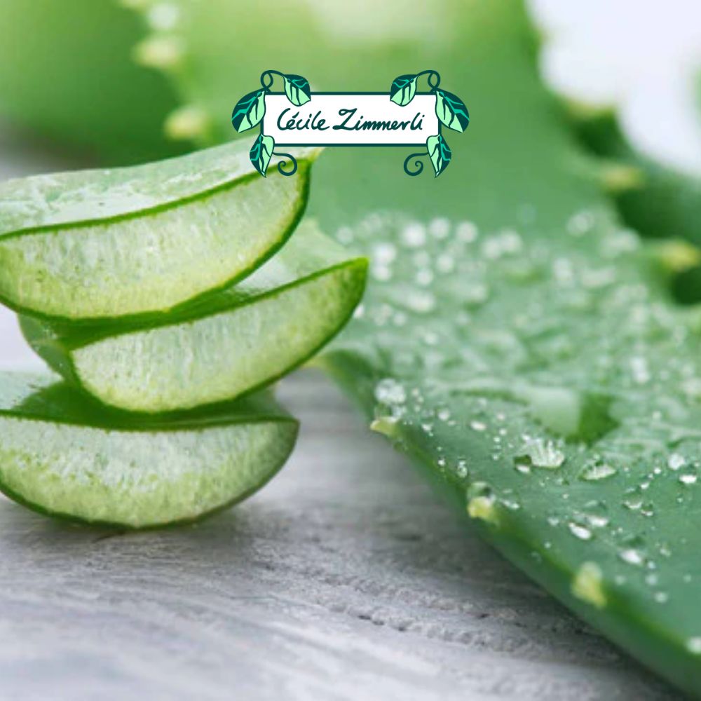 Argan Oil | ALOE & PRICKLY| FACE 20 ml
