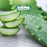 Argan Oil | ALOE & PRICKLY| FACE 20 ml