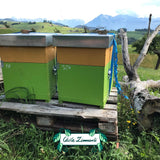 Schweizer Honig mit Bienenbotschaft, Premium Qualtität, 500g