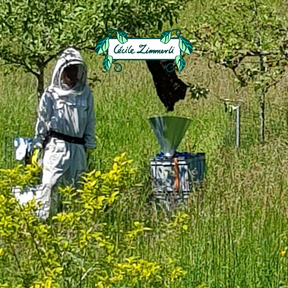 Schweizer Honig mit Bienenbotschaft, Premium Qualtität, 500g