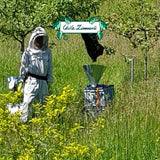 Schweizer Honig mit Bienenbotschaft, Premium Qualtität, 500g